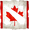 Canada Cup #3